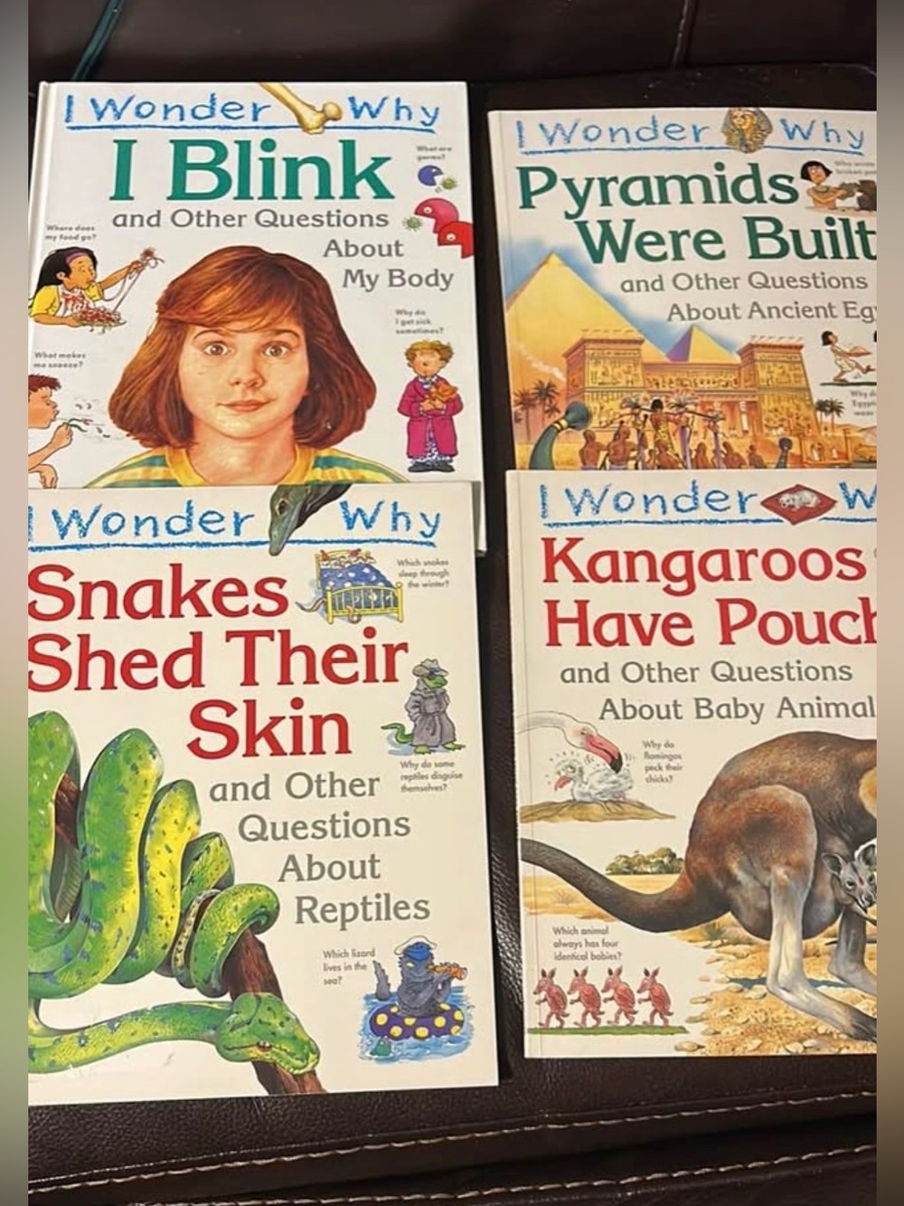 Set of 6 I Wonder Why Books